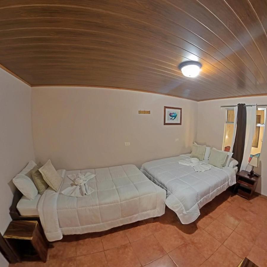 Casa Jungle Monteverde B&B Екстериор снимка