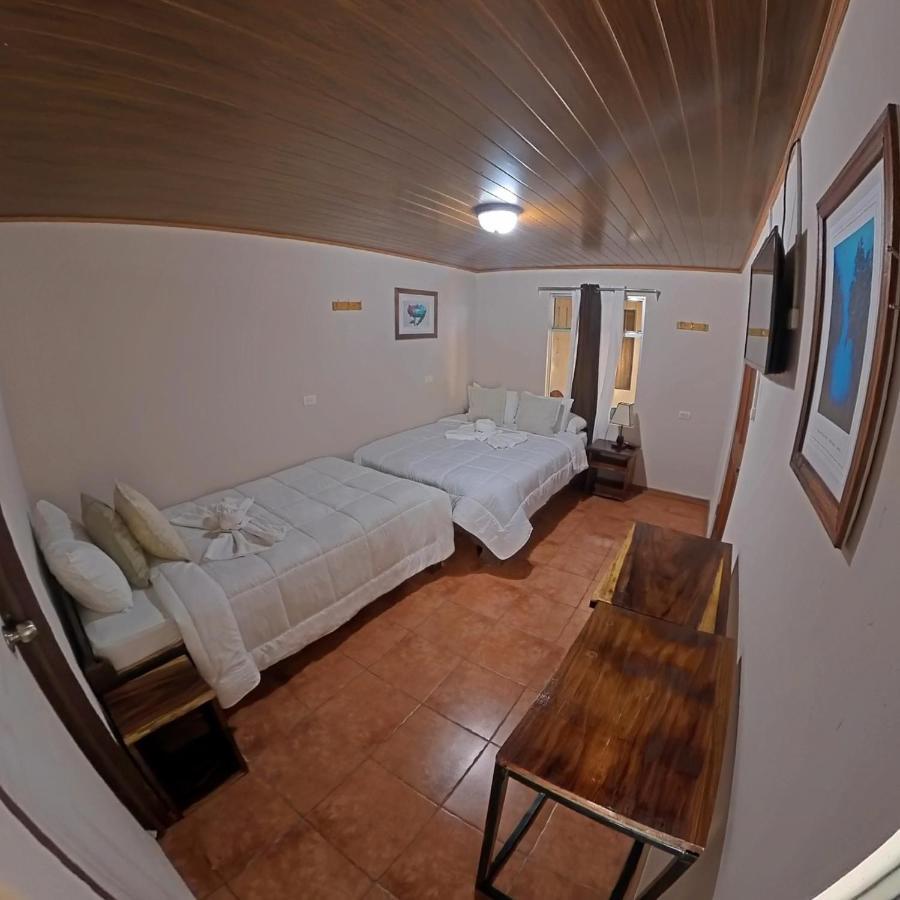 Casa Jungle Monteverde B&B Екстериор снимка