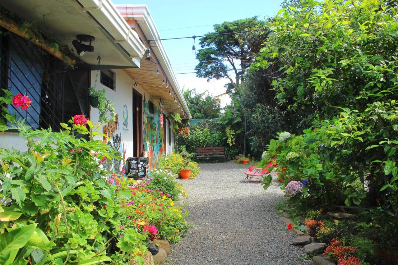 Casa Jungle Monteverde B&B Екстериор снимка