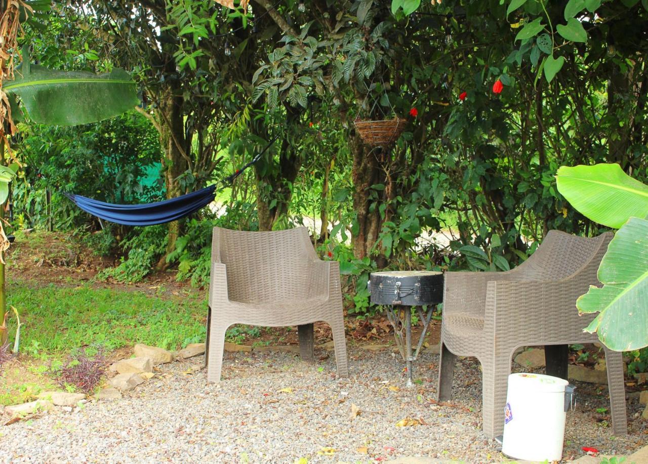 Casa Jungle Monteverde B&B Екстериор снимка
